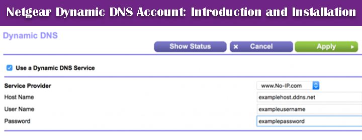 Netgear Dynamic DNS Account Introduction