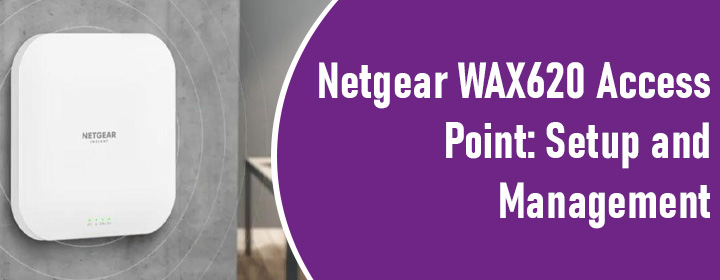 Netgear WAX620 Access Point